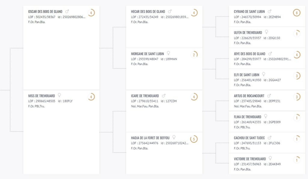 Généalogie sur 3 générations d'un chien LOF